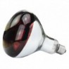 Lamp 250 W infrarood Hard Glas 1 st
