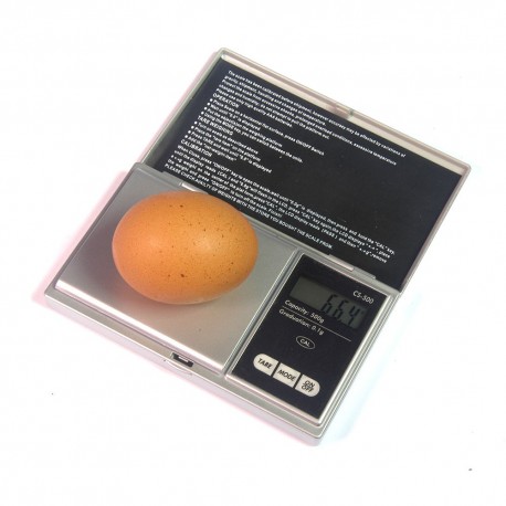 Digitale pocketweegschaal 0-500 g, 0.1 indicatie, incl. batterijen