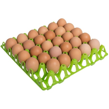Eier tray for 30 kippeneieren afm. 302x304mm, max. eimaat 49mm