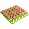Eier tray for 30 kippeneieren afm. 302x304mm, max. eimaat 49mm