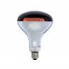 Warmtelamp Powerheat, infra rood, 250Watt, 240V, R125, E-27