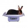 Digitale konijnenweegschaal tot 20 kg -  op batterijen