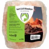 Salt Lick Himalaya (Liksteen)