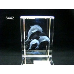 3D Glasblokje met dolfijn