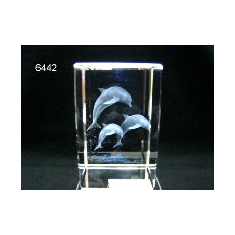 3D Glasblokje met dolfijn