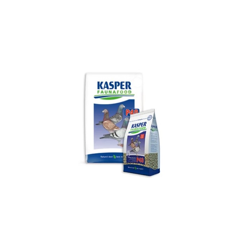 KASPER P40  KRACHTVOER VOOR DUIVEN 4KG