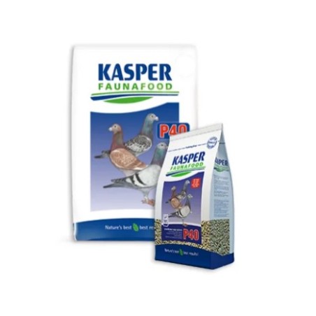 KASPER P40  KRACHTVOER VOOR DUIVEN 4KG