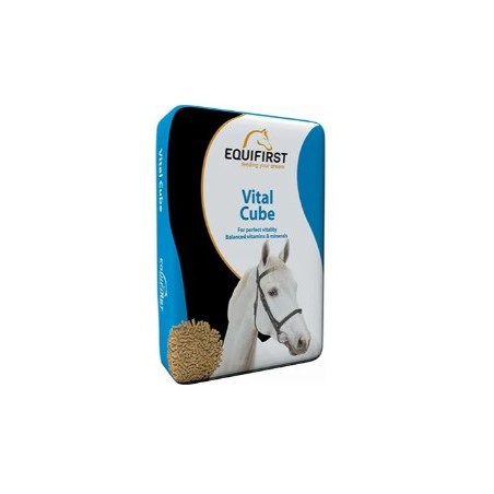 Equifirst VITAL CUBE 20 KG