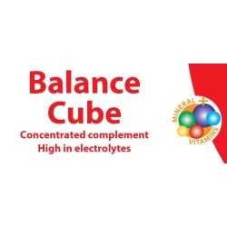 Equifirst BALANCE CUBE 20 KG