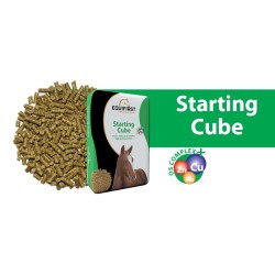 Equifirst STARTING CUBE 20 KG