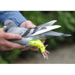 Prothese voor duiven en andere vogels van gelijke grootte (set 2 st.)