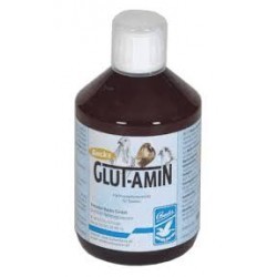 Glut-Amin (aminozuren)