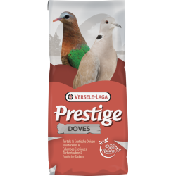 Prestige Duiven - Exotische...