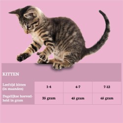 Riverwood Kitten 6 kg