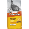 Colombine Success Corn I.C.+  15 kg