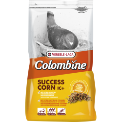 Colombine Success Corn...