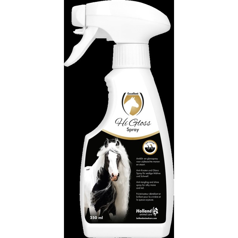 Hi Gloss Spray 250 ml