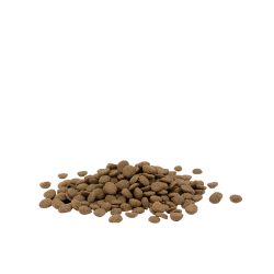 Cat Sterilised/Light (1kg)