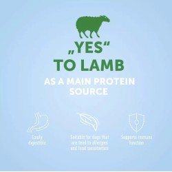 NP Super Premium - DOG - Small & Mini - Adult - with Lamb - 2 kg