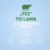 NP Super Premium - DOG - Small & Mini - Adult - with Lamb - 2 kg