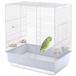 Kooi Vogels - DORA PLUS...