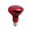 Warmtelamp Powerheat, infra rood, 100Watt, 240V,  R80, E-27