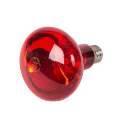 Warmtelamp Powerheat, infra rood, 100Watt, 240V,  R80, E-27