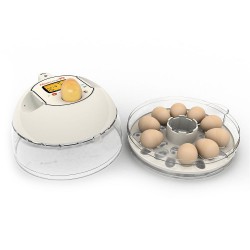Broedmachine R-COM 10 PLUS voor 10 eieren