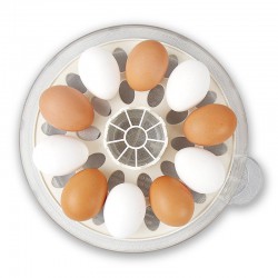 Broedmachine R-COM 10 PLUS voor 10 eieren