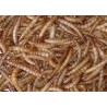 Gedroogde meelwormen 1kg