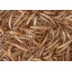Meelwormen 250g