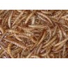 Meelwormen 250g