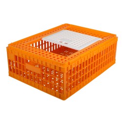 Transportkist pluimvee, oranje, 1 top deur, 77X58X29CM, HDPE