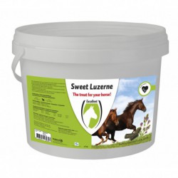 Sweet Luzerne 3kg