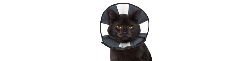Medische benodigdheden voor katten