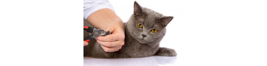 Nagel-, oor- en oogverzorging katten