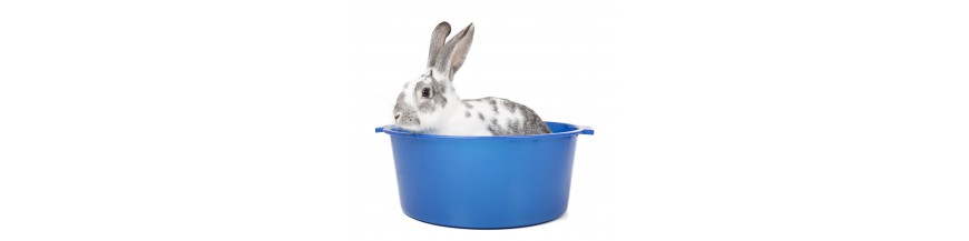 Verzorgingsproducten en medische benodigdheden voor konijnen