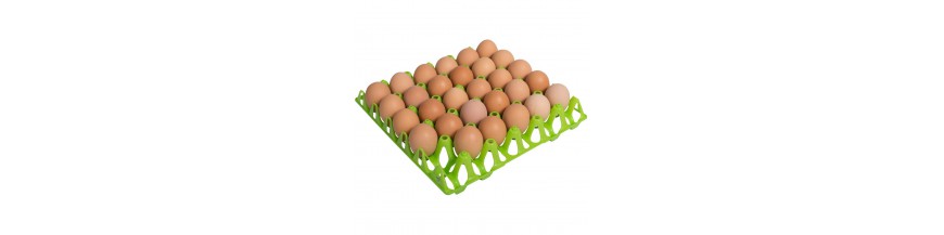 Eiertrays en -dozen voor kippen