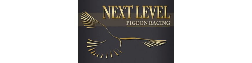 Next Level Pigeon Racing