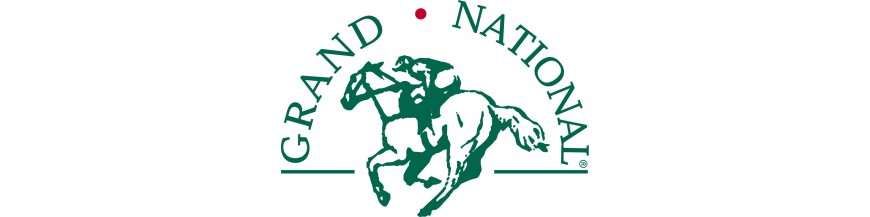 Grand National voor Paarden en ponys