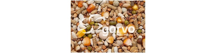 Garvo G-spirits duivenvoeders