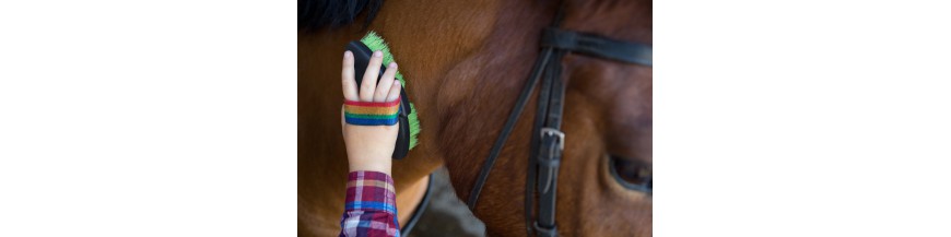 Verzorging en onderhoud voor paarden en ponys