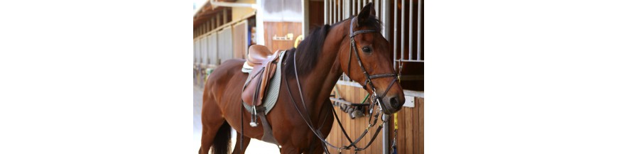Accessoires voor paarden en ponys