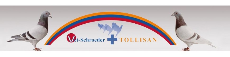 Schroeder - Tollisan supplementen voor postduiven